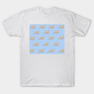 Amazing Aardvark T-Shirt